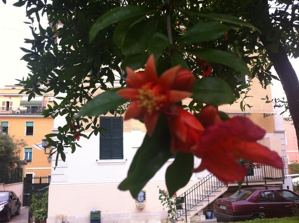 Bed and Breakfast Aristocarli à Rome Extérieur photo